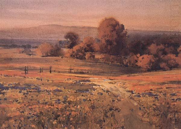 California landscape, unknow artist